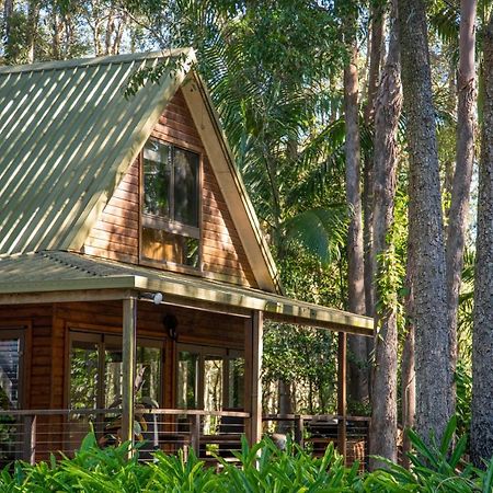 Buddha'S Bungalow Byron Bay Exteriör bild