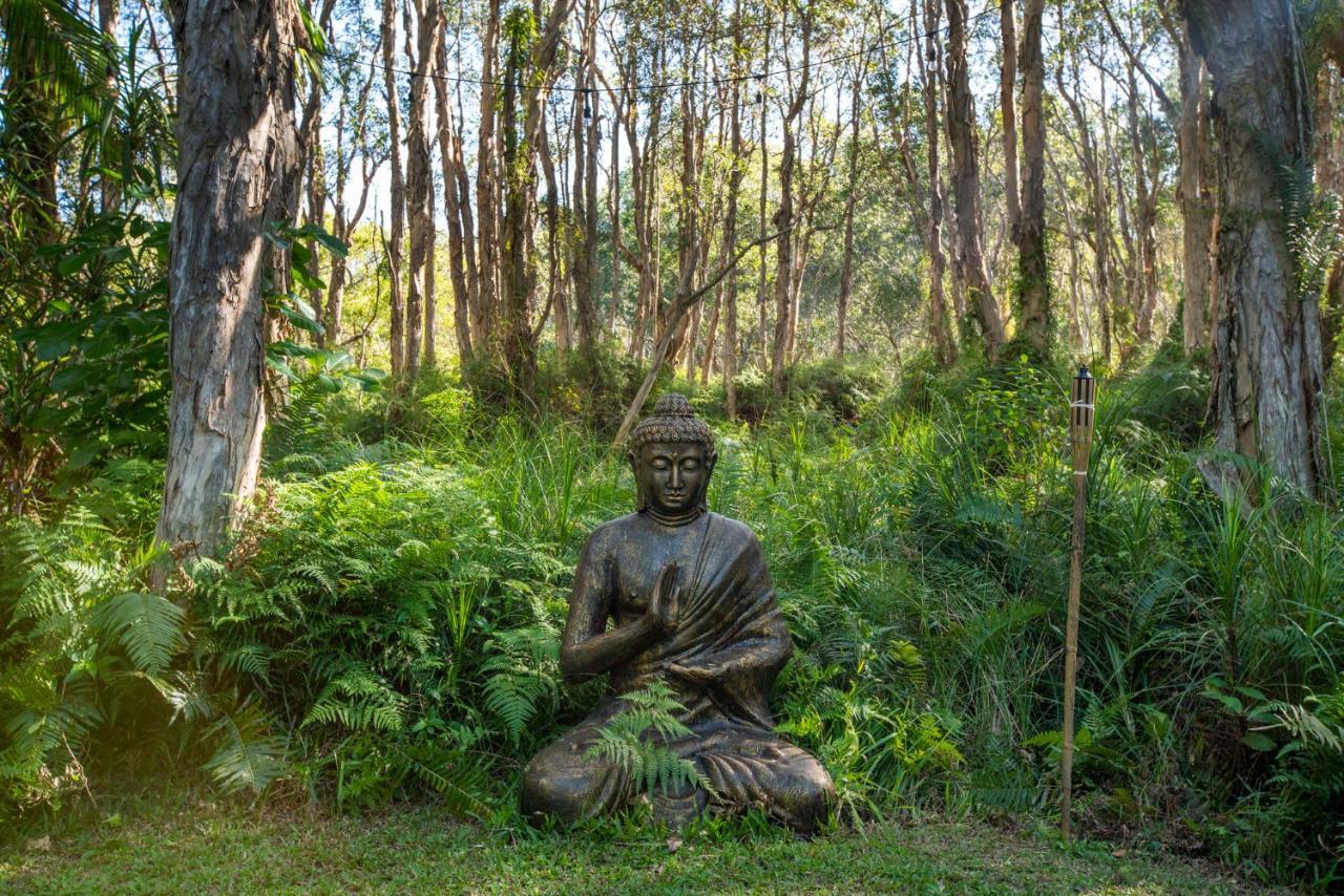 Buddha'S Bungalow Byron Bay Exteriör bild