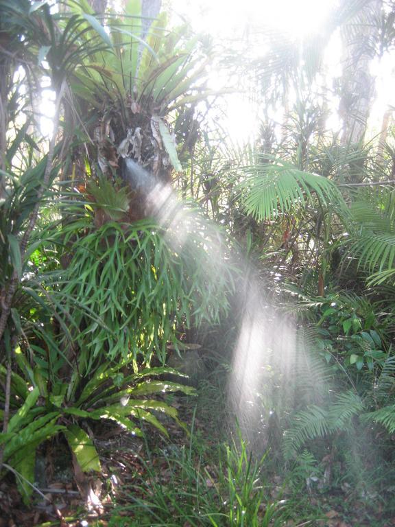 Buddha'S Bungalow Byron Bay Rum bild